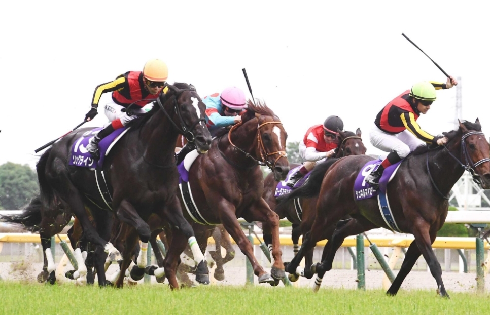 第69回安田記念 ダノンプレミアム号単,複200円外れガンバレ馬券 競馬 馬